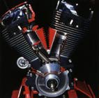 TC88 écorché
